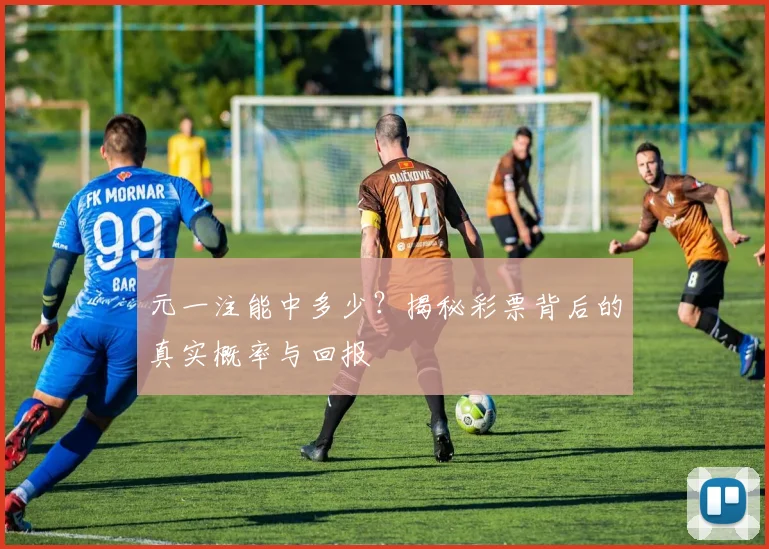 元一注能中多少？揭秘彩票背后的真实概率与回报