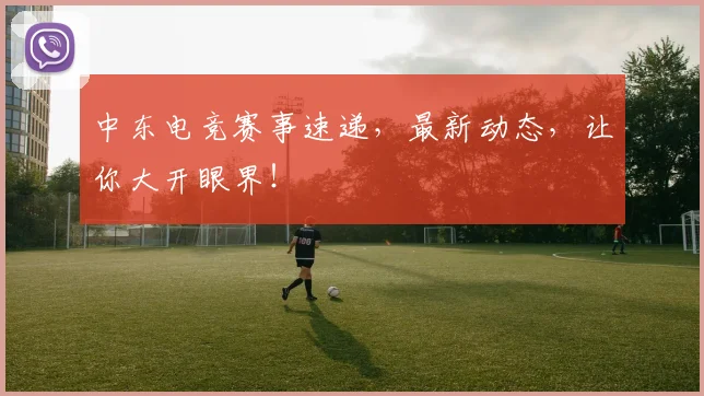 中东电竞赛事速递,最新动态,让你大开眼界!