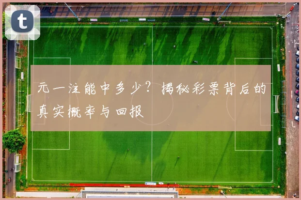 元一注能中多少？揭秘彩票背后的真实概率与回报