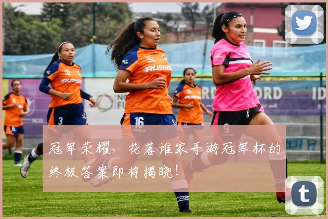 冠军荣耀,花落谁家手游冠军杯的终极答案即将揭晓!